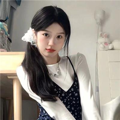 赤裸特工